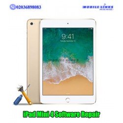 iPad Mini 4 A1538 Software Repair